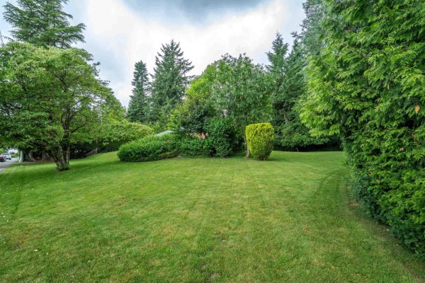 15875 101a Avenue, Surrey, BC V4N2N6 Photo 3
