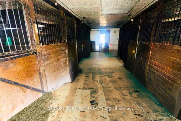 159 11 Line N, Oro Medonte, ON, photo 3