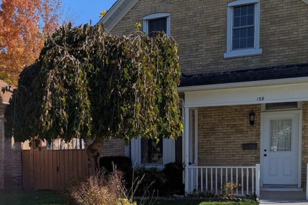 Exterior view of the brick house with a covered front porch and white railings. - 159 Wellington Street, Cambridge