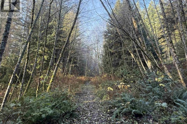 1594 Cemetery Road, Gibsons, BC V0N1V1 Photo 4