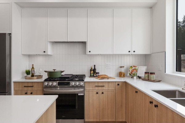 16 10660 127a Street, Surrey, BC V3T2Z9 Photo 4