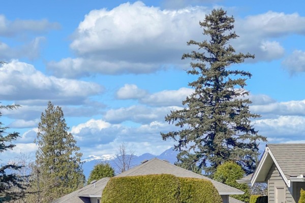 16 2672 151 Street, Surrey, BC, photo 2