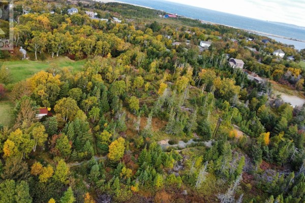 16 Calvin Manor Road, Conception Bay South, NL A1X6M6 Photo 5