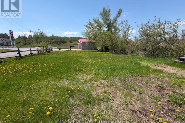 16 Cedar Street, Asphodel Norwood, ON, photo 3