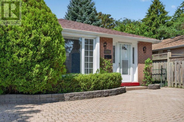 Kitchen - 16 Earswick Drive, Toronto, ON M1E1C6 Photo 3