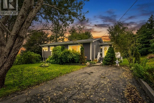 Recreation room - 16 Higdons Hill, New Harbour, NL A0B2P0 Photo 3