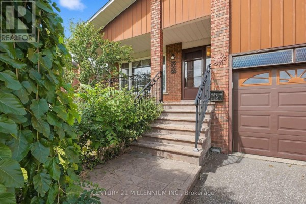 Living room - 16 Jardine Street, Brampton, ON L6S3H4 Photo 2