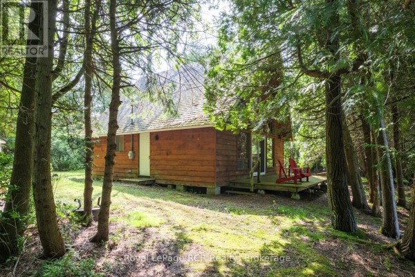 Side view of a rustic wooden cabin nestled within a forest setting. - 16 Youngs Drive, South Bruce Peninsula