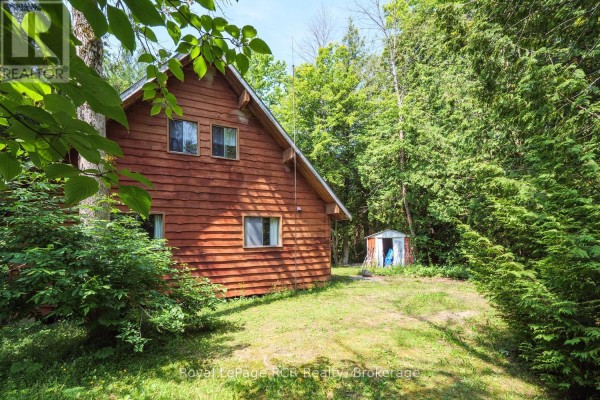 Back of the wooden cabin showing two windows and a small shed in the yard. - 16 Youngs Drive, South Bruce Peninsula