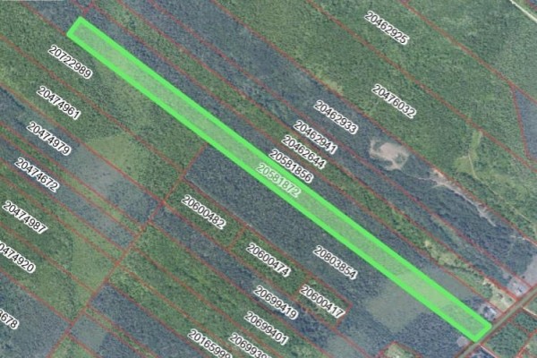 Aerial view of the highlighted property, showing dense green forest and waterlogged areas surrounding the land. - 16.93 Acres Rue Saint-raphaël Nord, Saint Marie Saint Raphael