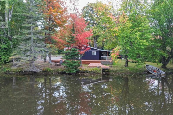 Rear view of a dark blue bungalow surrounded by trees with autumn foliage, seen from the water. - 1602 Pineshores Rd, Goulais River