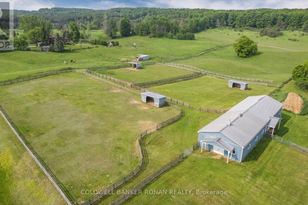 1604 Concession Rd 8, Adjala Tosorontio, ON L0G1W0 Photo 4