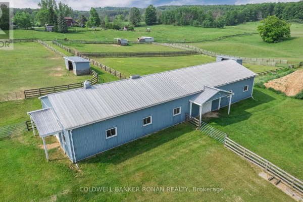 1604 Concession Rd 8, Adjala Tosorontio, ON L0G1W0 Photo 5