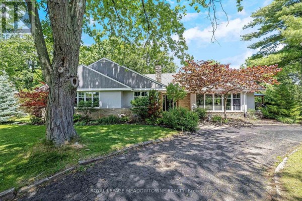 Kitchen - 161 Confederation Street, Halton Hills, ON L7G4S8 Photo 5