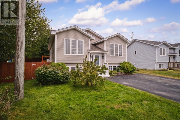 Storage - 161 Lanark Drive, Paradise, NL A1L3C5 Photo 3