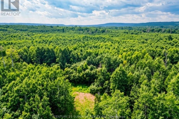 161 Valley Road, Dorion, ON P0T1K0 Photo 4