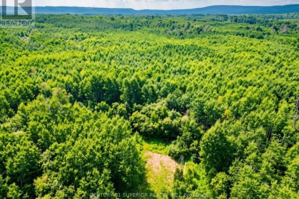 161 Valley Road, Dorion, ON P0T1K0 Photo 5