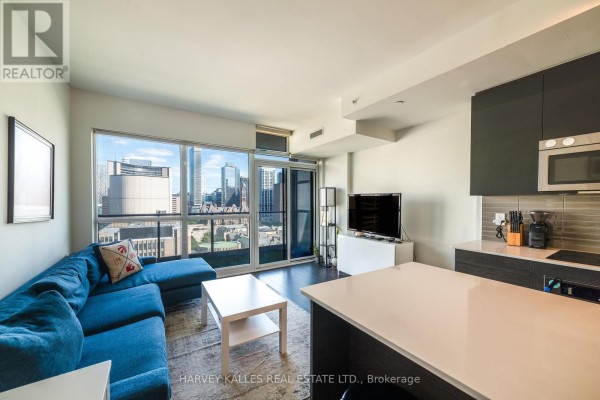 1610 - 210 Simcoe Street, Toronto, ON M5T0A9 Photo 5