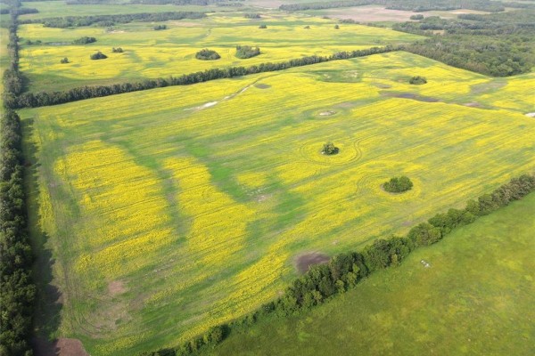 161064 98 West Road, Rorketon, MB, photo 3