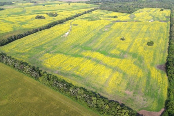 161064 98 West Road, Rorketon, MB R0L1R0 Photo 4
