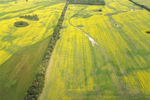 161064 98 West Road, Rorketon, MB R0L1R0 Photo 5