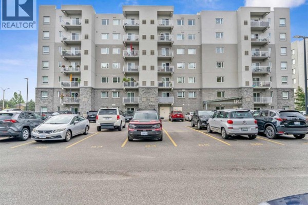 Storage - 1611 Banwell Road Unit# 217, Windsor, ON N8P0G5 Photo 3