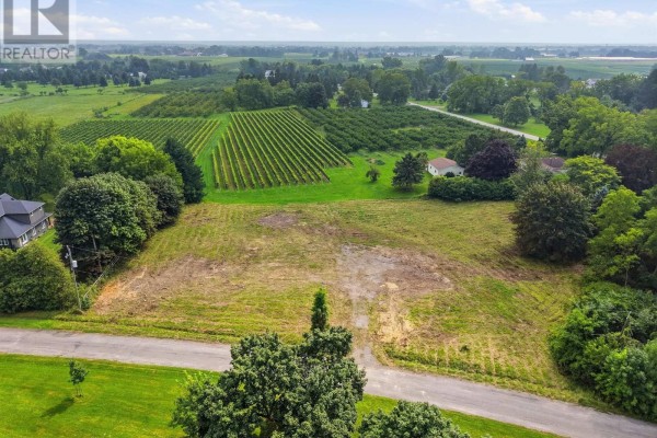 Aerial view of cleared vacant lot bordered by trees and adjacent to a vineyard. - 1611 Lakeshore Road, Niagara On The Lake
