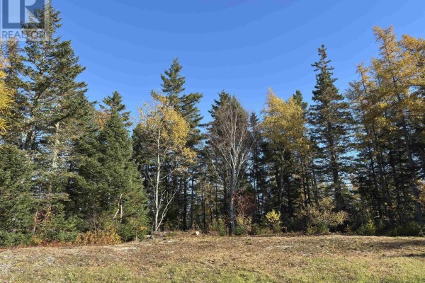Primary Bedroom - 1619 Gabarus Highway, Sydney, NS B1L1E8 Photo 5