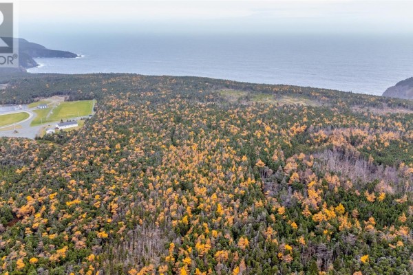 162 218 Red Head Road, Flatrock, NL A1K1C8 Photo 4