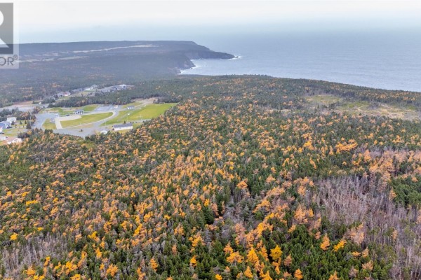 162 218 Red Head Road, Flatrock, NL A1K1C8 Photo 5