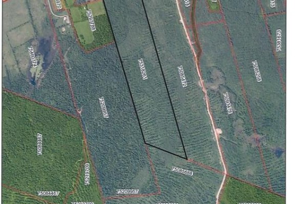 Lot 1623 Route 3, Harvey, NB E6K2R3 Photo 2