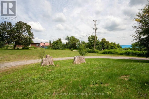 1624 Chemong Road, Selwyn, ON K9J6X2 Photo 5