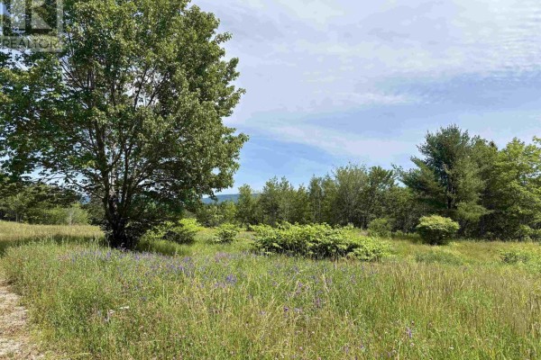 1629 West Side Middle River, Middle River, NS B0E1B0 Photo 2