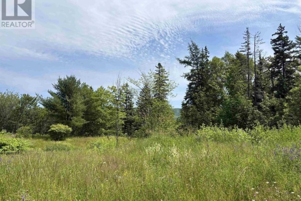 1629 West Side Middle River, Middle River, NS B0E1B0 Photo 3