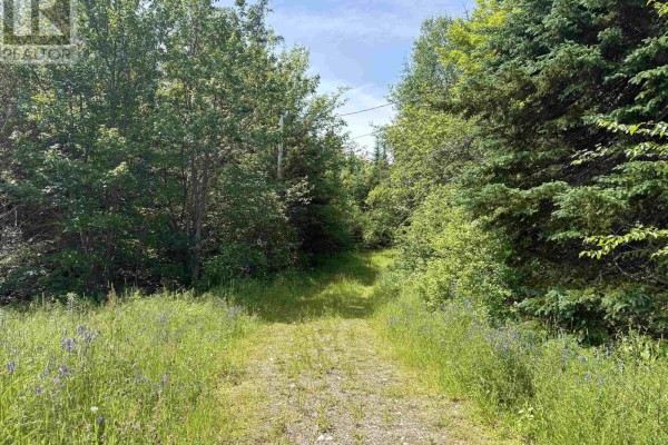 1629 West Side Middle River, Middle River, NS B0E1B0 Photo 4