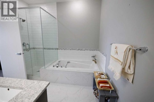 Laundry room - 163 Cityside Park Ne, Calgary, AB T3N1P2 Photo 5