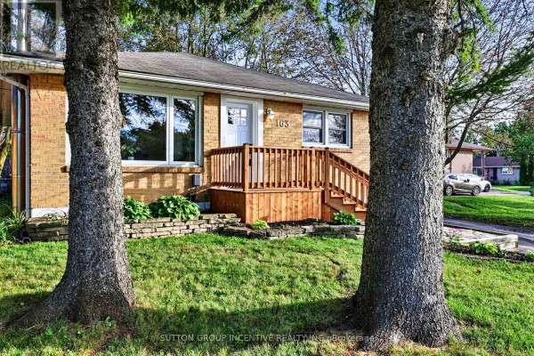 Games room - 163 Grove Street E, Barrie, ON L4M2P6 Photo 2