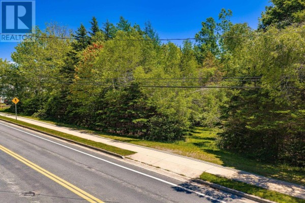 163 King Street, Shelburne, NS B0T1W0 Photo 2