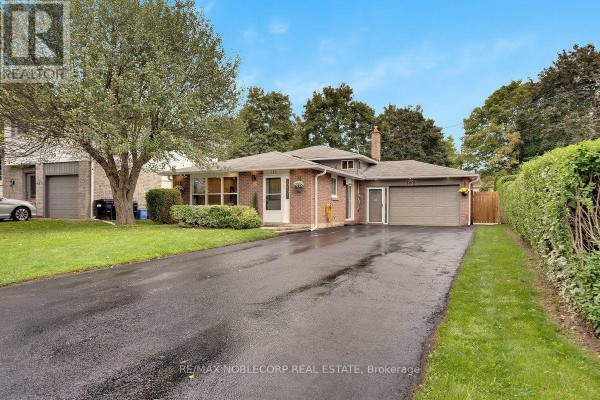 163 Main Street W, New Tecumseth, ON L0G1A0 Photo 3