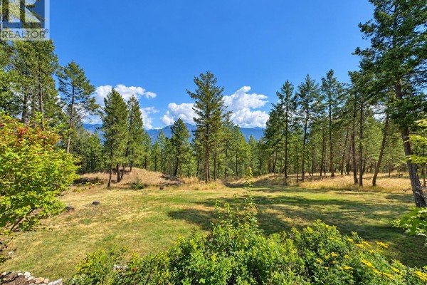 Loft - 1630 Johnston Road Unit# 3, Invermere, BC V0A1K0 Photo 3