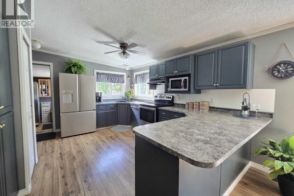 16305 N 5 Highway, Valemount, BC, photo 2