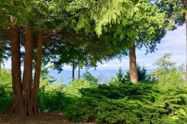 1633 Ocean Park Road, Surrey, BC V4A3M1 Photo 5