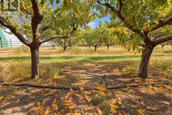164 Ashnola Road, Keremeos, BC V0X1N1 Photo 3