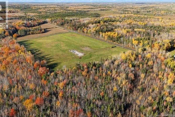 164 Bois Joli Road, Bouctouche, NB E4S2X1 Photo 4