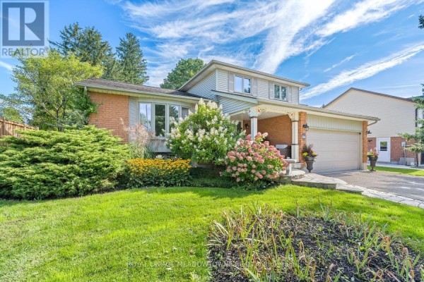 Recreational, Games room - 164 Henry Street, Guelph/eramosa, ON N0B2K0 Photo 4