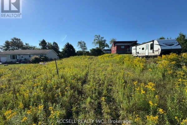 164 John Street, Grey Highlands, ON N0C1C0 Photo 2