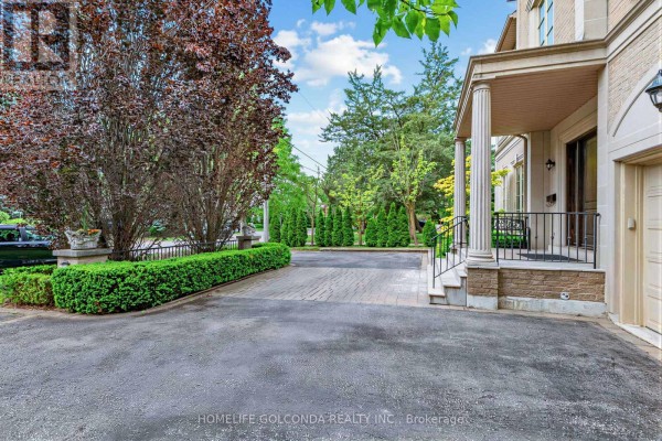 Family room - 164 Owen Boulevard, Toronto, ON M2P1G7 Photo 3