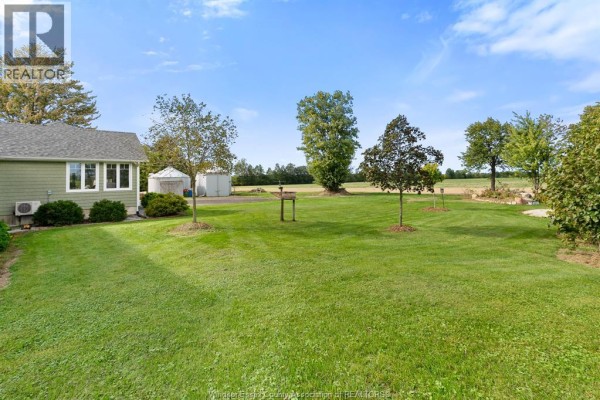 Backyard view showing a green lawn, trees, and storage sheds with fields beyond. - 1642 Road 2 West, Kingsville