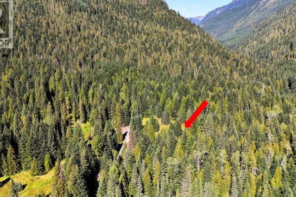 1645 Ferguson Road Lot# Parcel A, Ferguson, BC V0G1R2 Photo 2