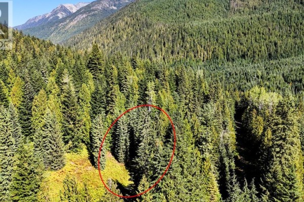 1645 Ferguson Road Lot# Parcel A, Ferguson, BC V0G1R2 Photo 3